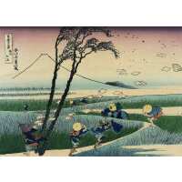 Read Ink & Drop Reviews